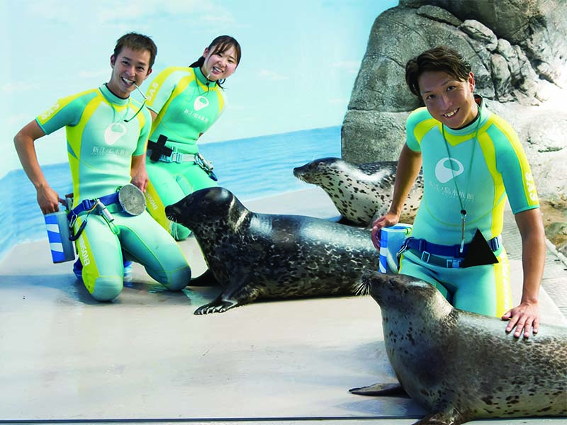 獣トレーナー&水族館飼育スタッフ／海獣類飼育担当