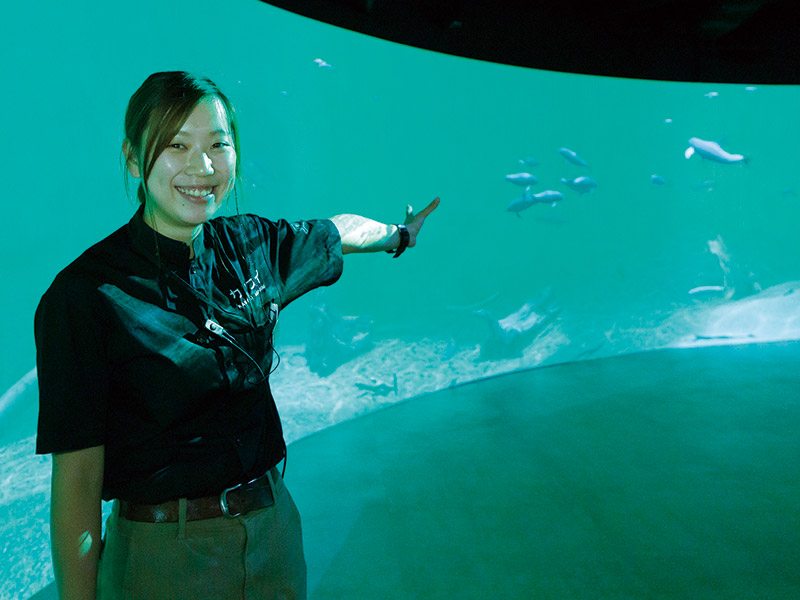 水族館スタッフ