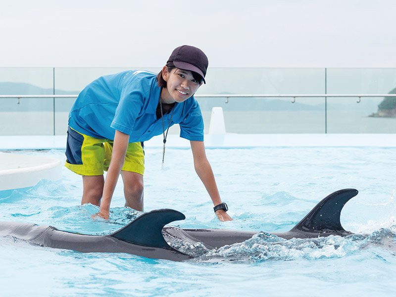 海獣類トレーナー＆水族館スタッフ