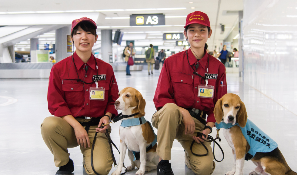 検疫 探知 犬 ハンドラー なるには